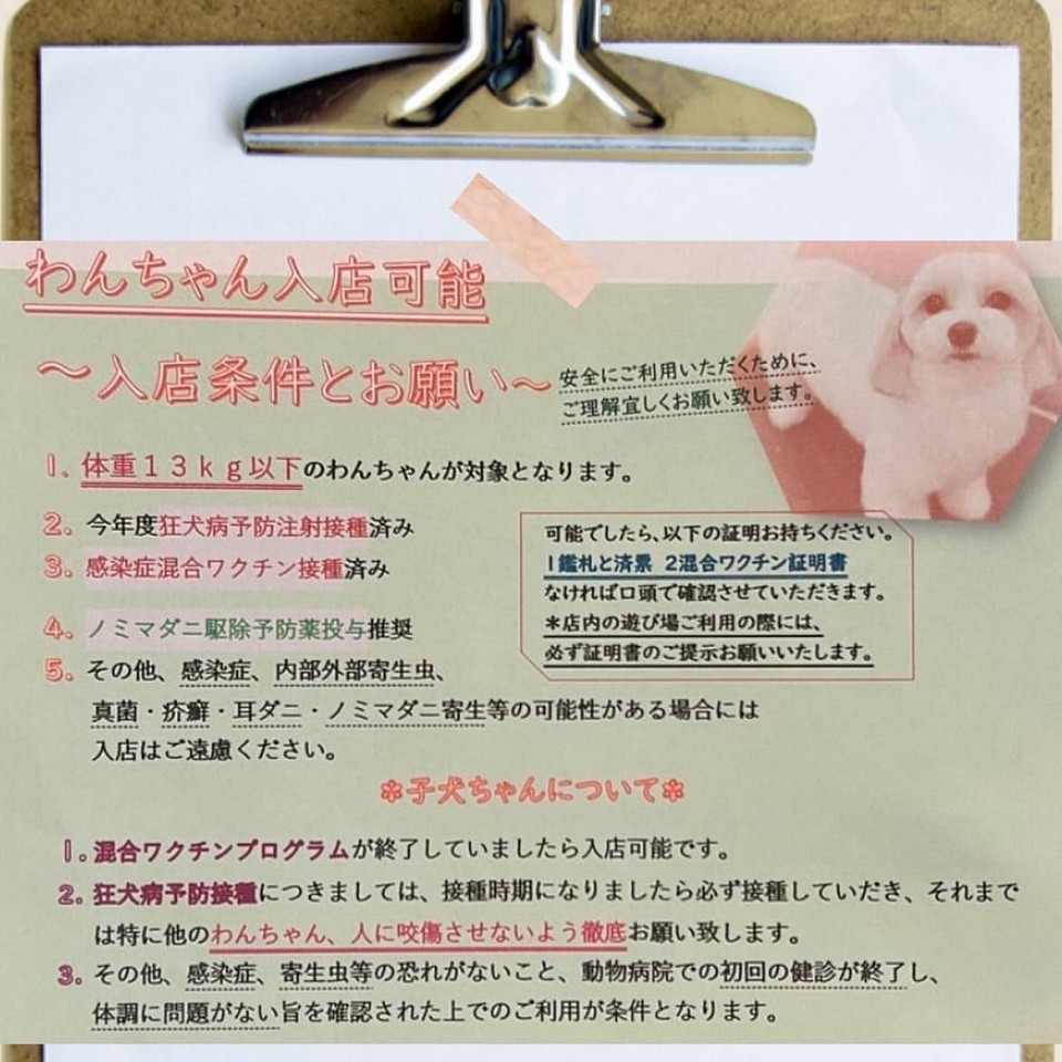 わんちゃん入店条件