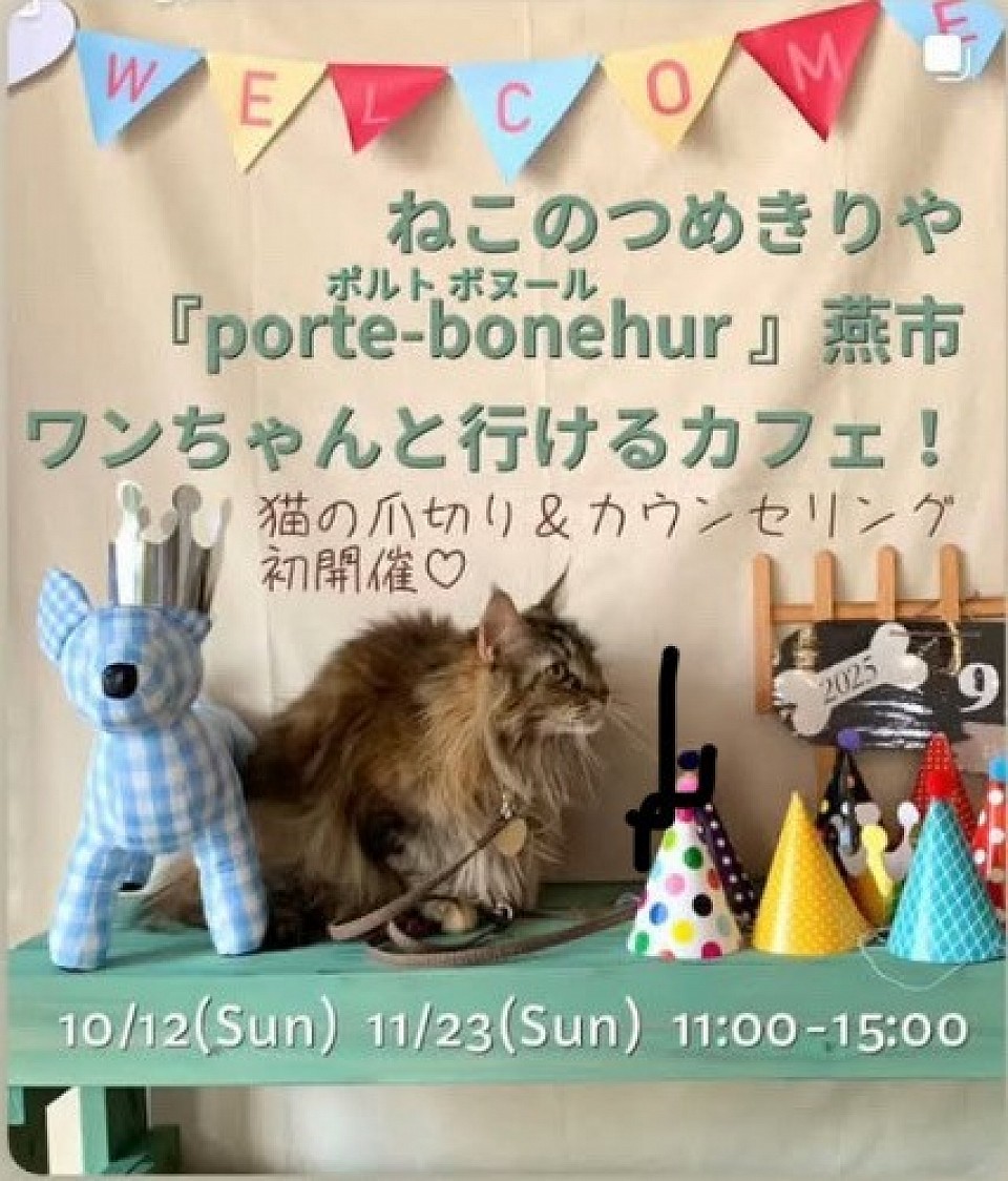 ねこのつめきりや