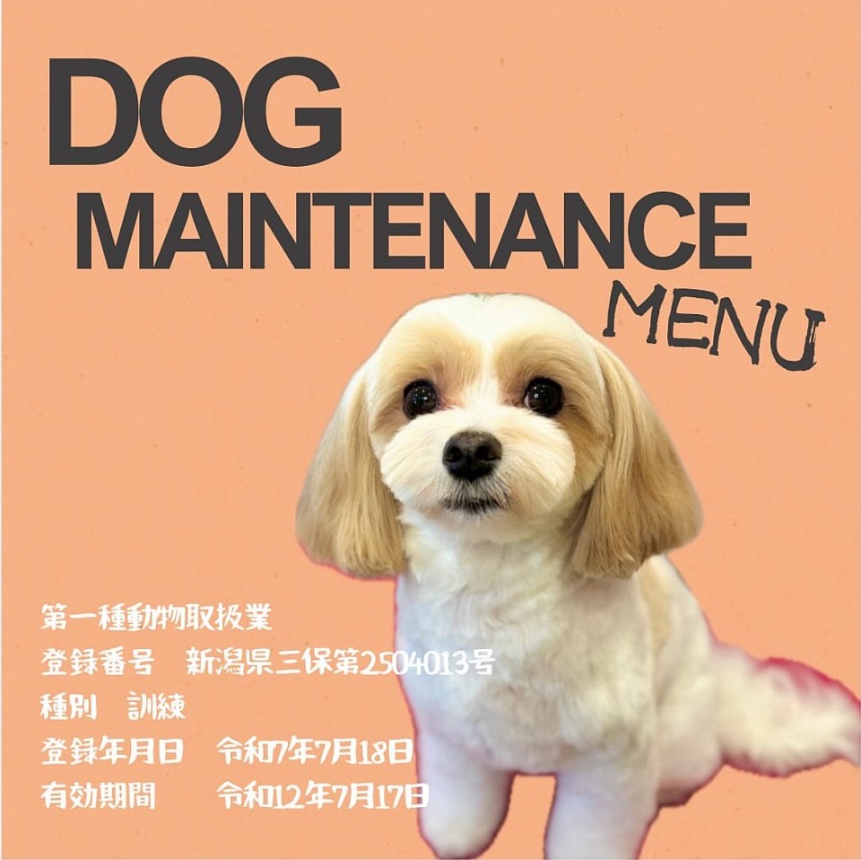 ドッグメンテナンスメニュー