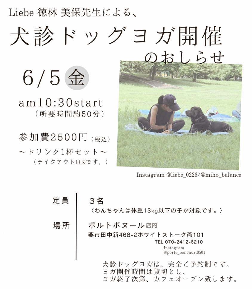 ドッグヨガ