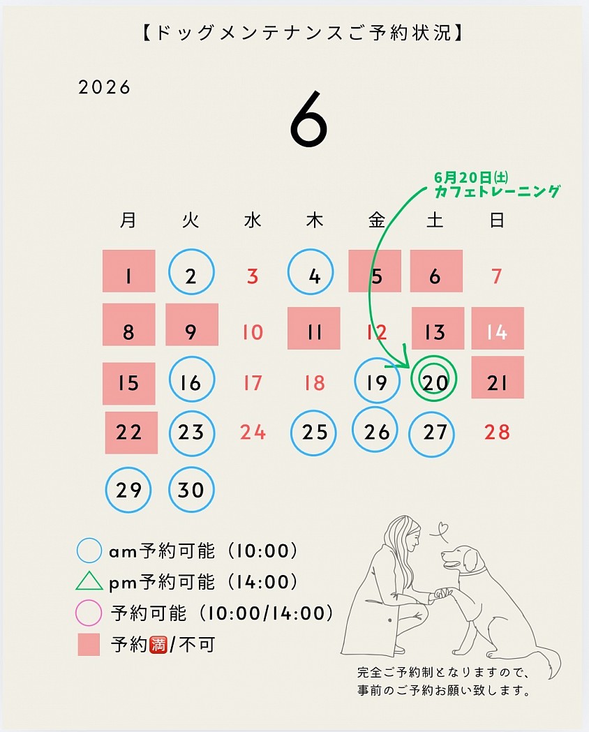 ６月ドッグメンテナンスご予約状況
